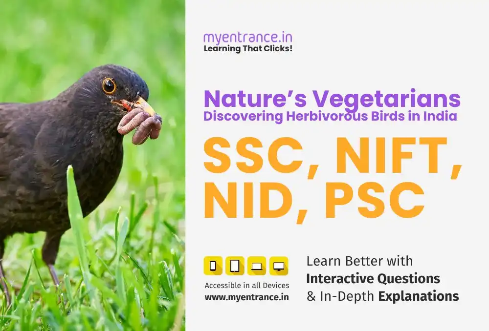 Colorful herbivorous Indian birds - parrot, swan, hummingbird - feeding on plants in natural habitats
