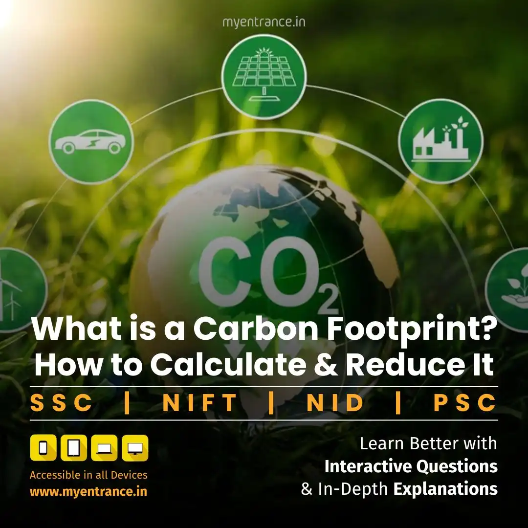How to Measure and Lower Your Carbon Footprint – A Complete Exam Guide