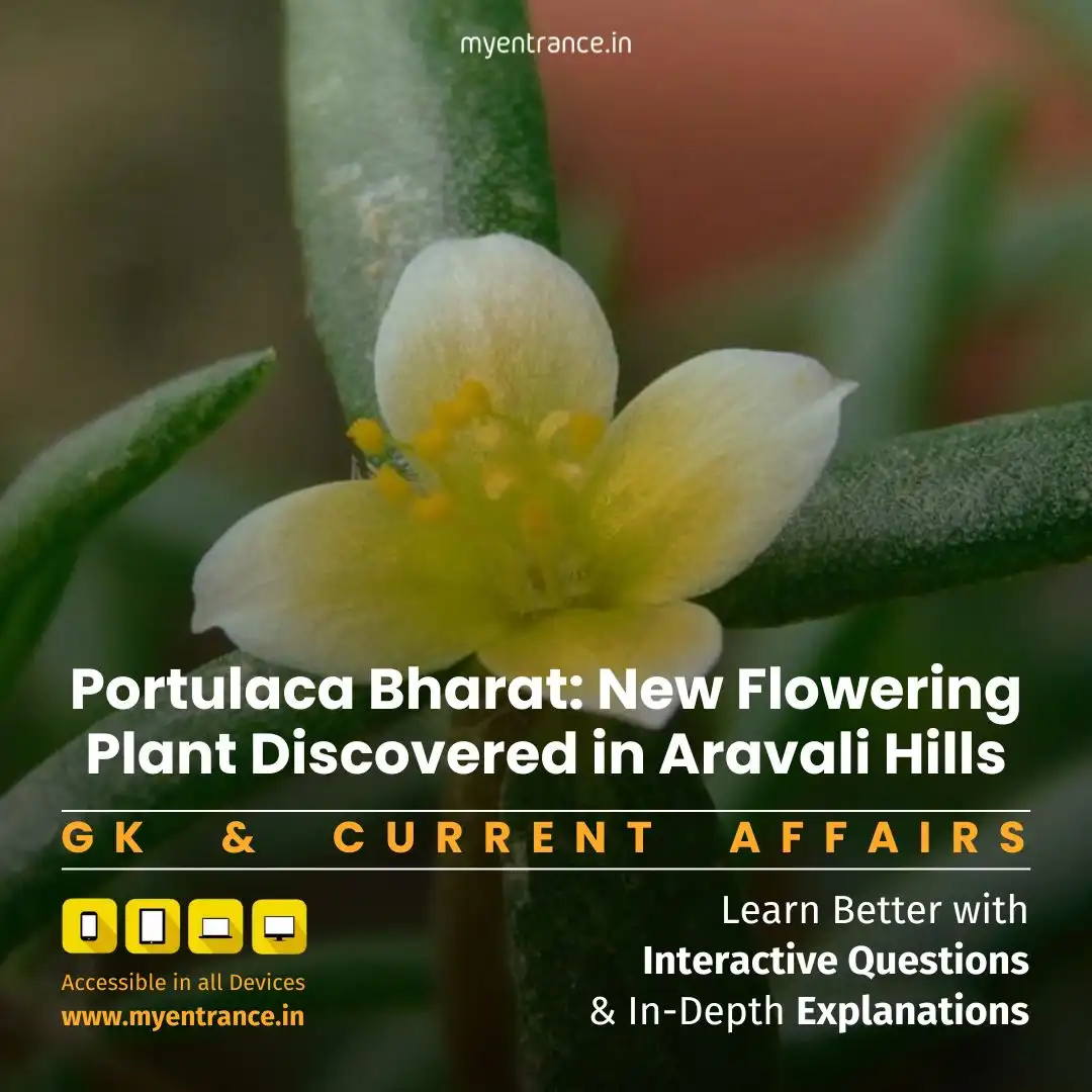 Portulaca Bharat: New Flowering Plant Discovered in Aravali Hills – Key Facts & Conservation
