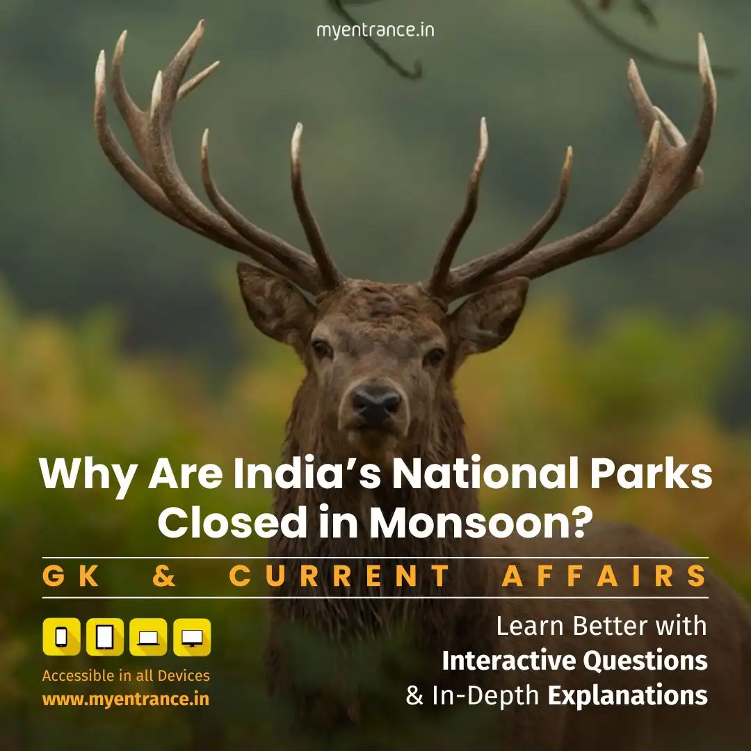 Wildlife Conservation: The Reason Behind Monsoon Closures in Indian National Parks