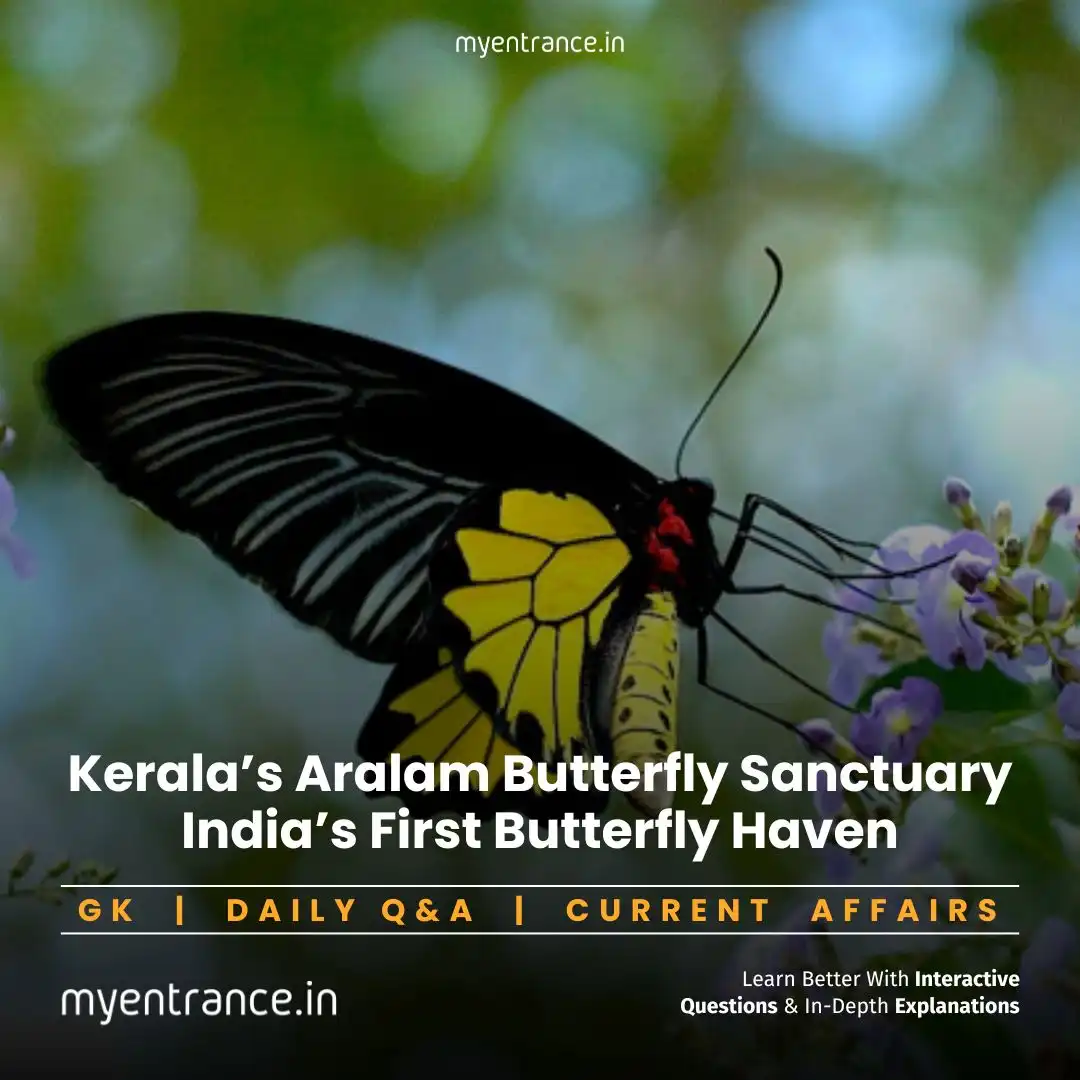 Aralam Butterfly Sanctuary: Kerala’s Pioneering Step in Butterfly Conservation