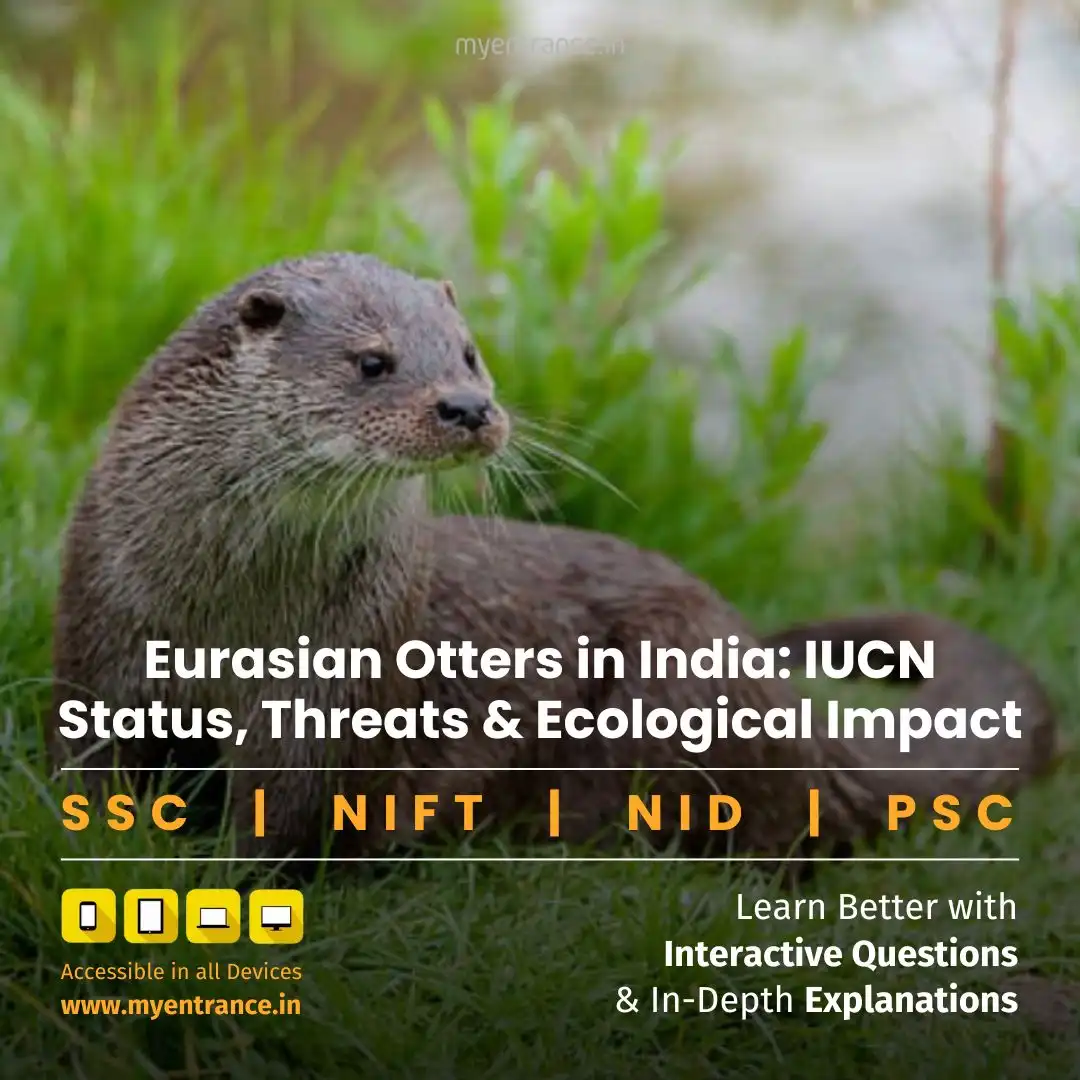 Near-Threatened Eurasian Otter Spotted in Kashmir: Ecological Revival Explained