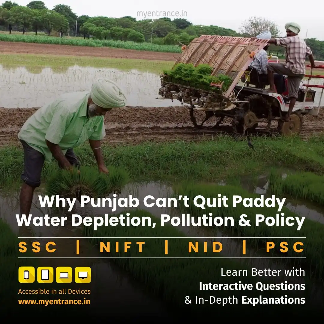 Groundwater Crisis in Punjab: The Hidden Cost of Rice Cultivation | myentrance.in