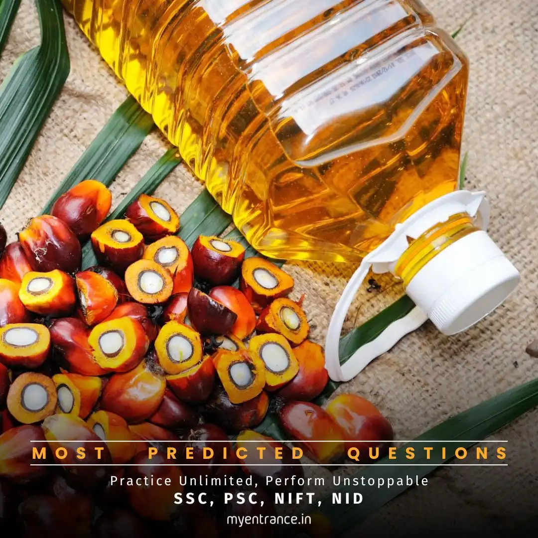 Palm oil health effects - Is it safe or harmful for consumption?