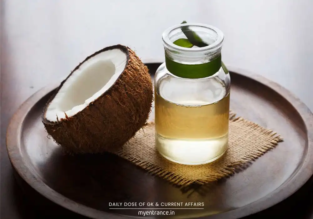 Explained What’s Fueling India’s Coconut Oil Price Fire