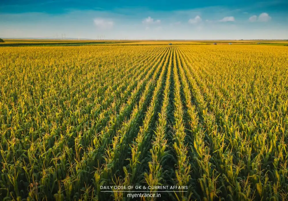India's GM Crop Stance: Why US Trade Demands Face Resistance