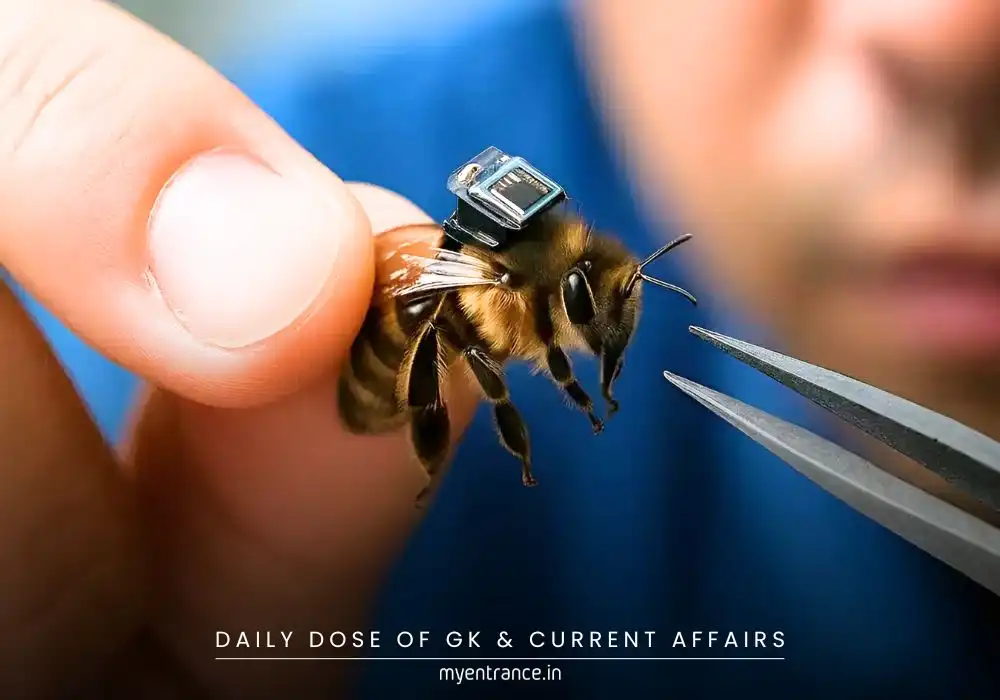 Technical Secrets Behind China’s Bee Brain-Control Device