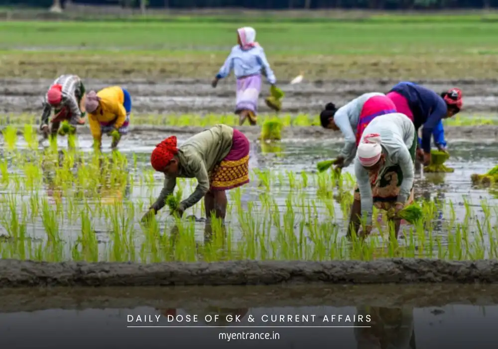 PM Dhan Dhaanya Krishi Yojana to develop 100 agri districts in India