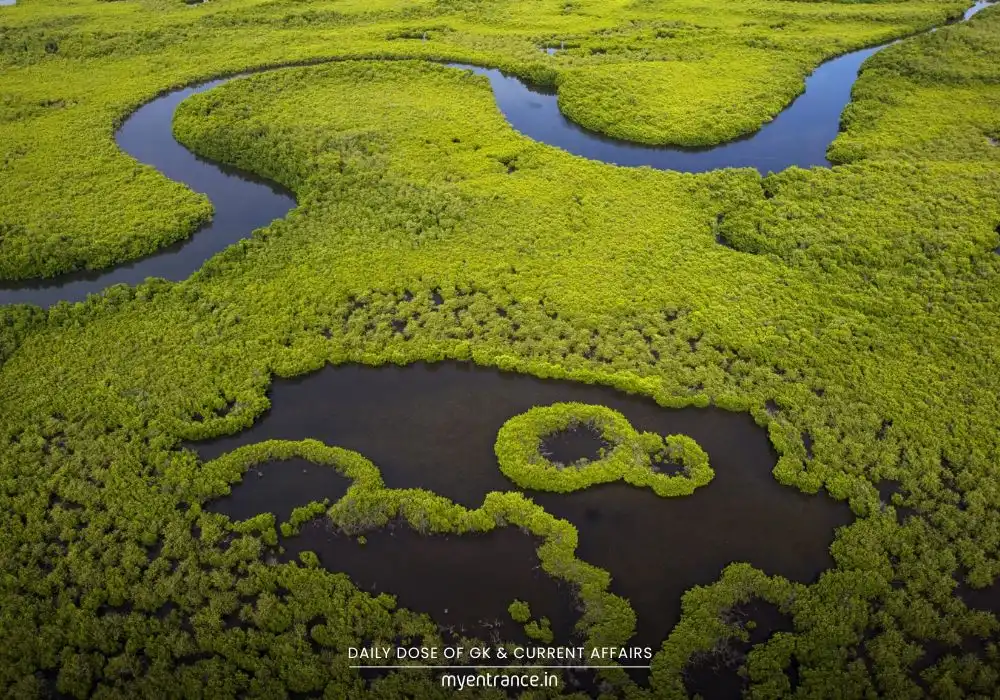 ndia's Wetland Conservation Model Going Global