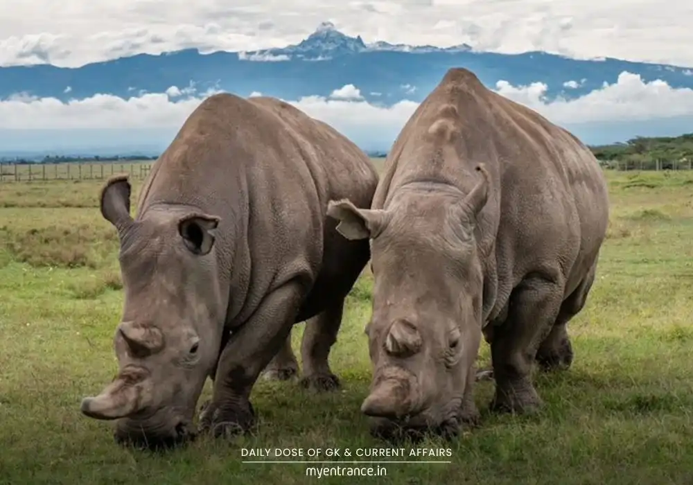 Critically endangered animals: Northern white rhino, vaquita porpoise, and saola in their natural habitats