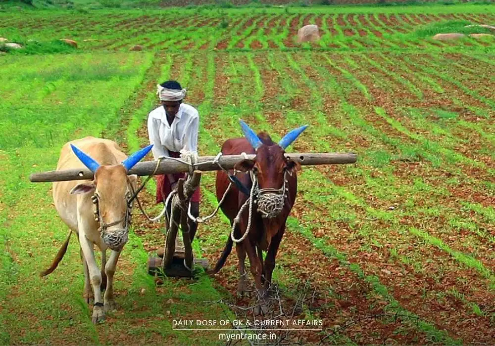 Goa CM announces agricultural labour subsidy to support farmers in manual and machine-assisted cultivation.