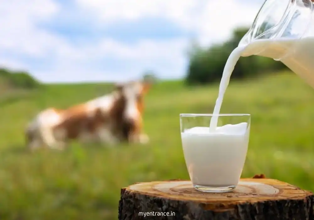 Delhi Milk Scheme’s launch of cow milk, co-branded dairy products, and 22 new booths strengthens India’s dairy ecosystem
