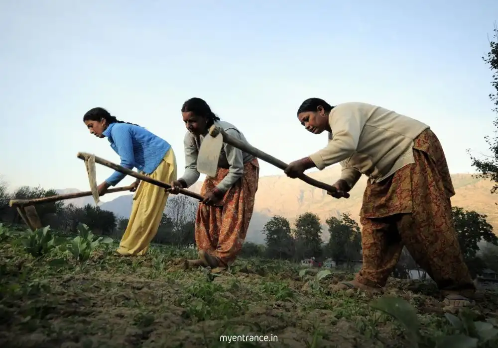 Agriculture Minister Shivraj Singh Chouhan disburses crop insurance claims to farmers under PMFBY.