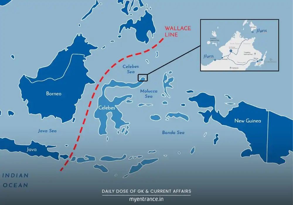 Wallace Line: The Natural Boundary That Separates Asian and Australian Wildlife