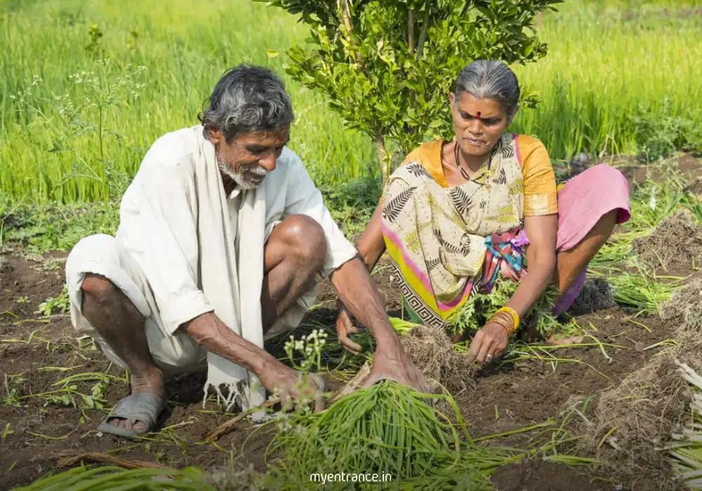 PM Kisan Sampada Yojana funding boosts food processing sector in India – Government releases Rs 1920 crore.