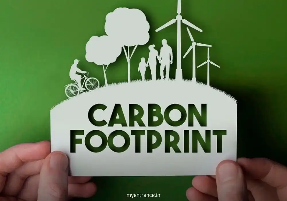 Understanding Carbon Footprint: Impact, Calculation, and Reduction Strategies