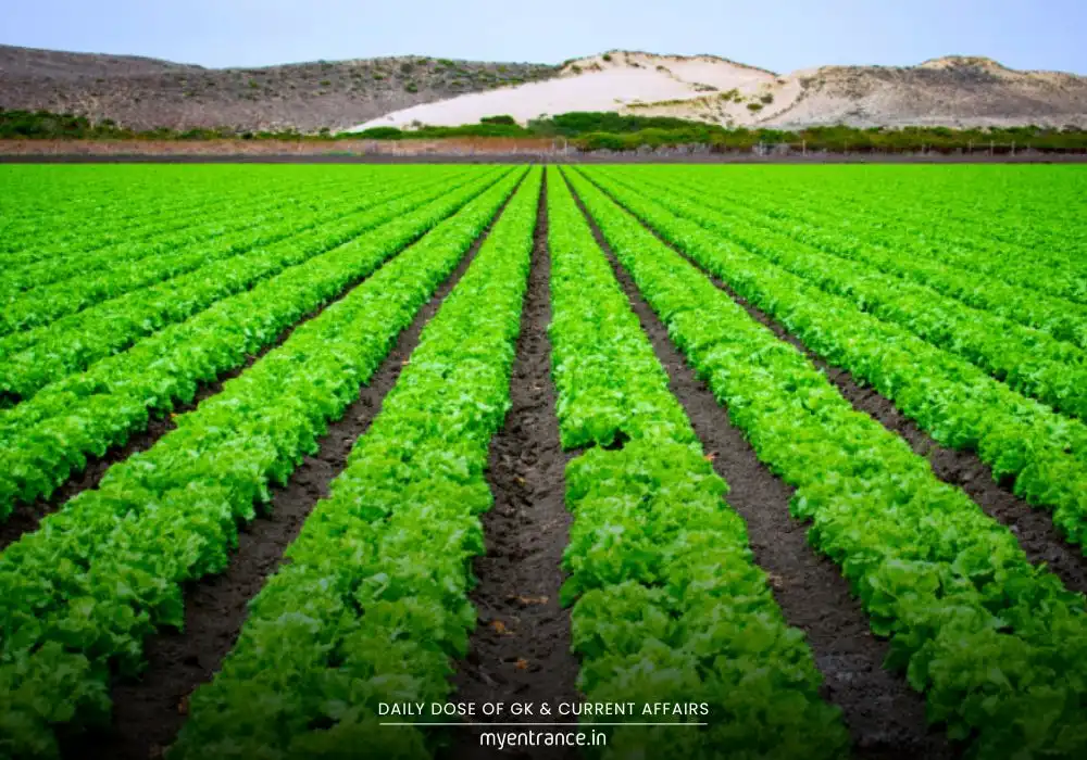 PM Dhan-Dhaanya Krishi Yojana (PMDDKY): A Boost to India’s Agriculture