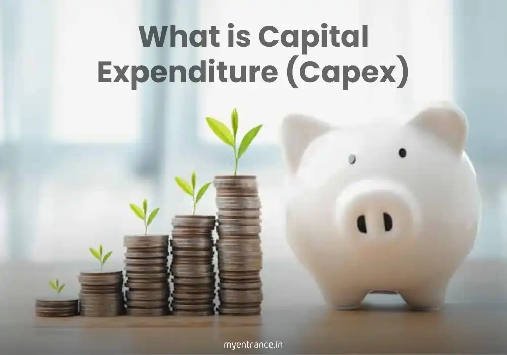 Capital Expenditure (Capex)