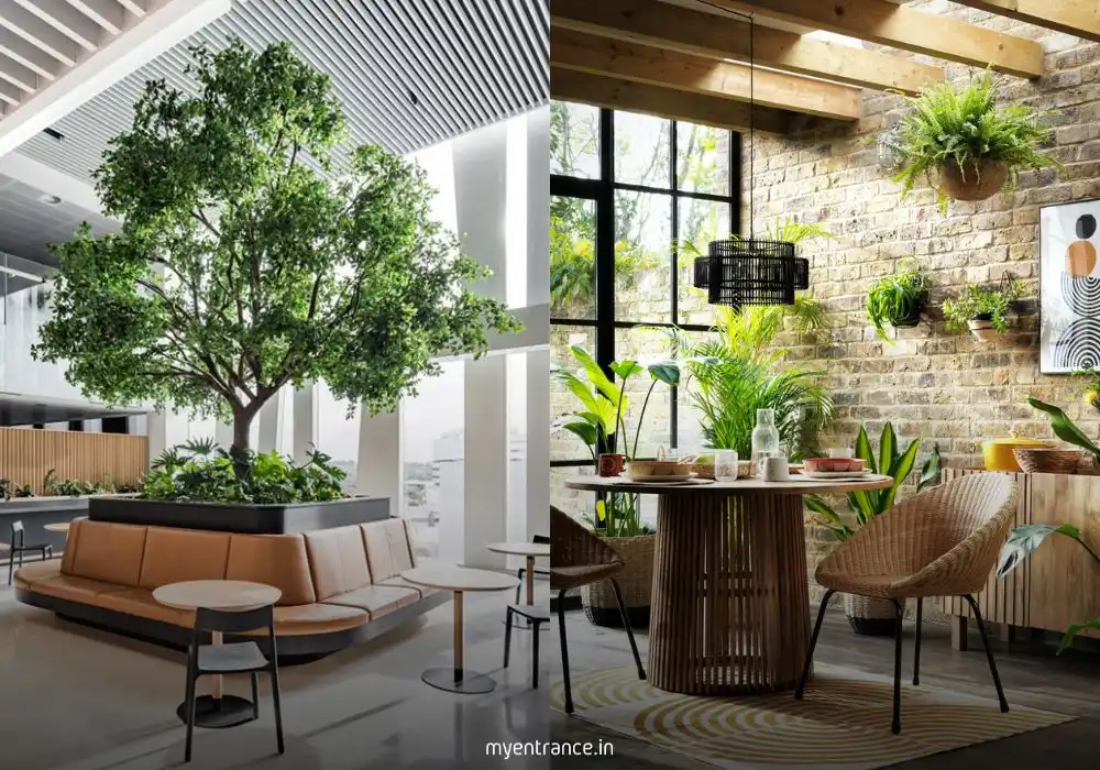 Biophilic design is dominating the world of interior and spatial design