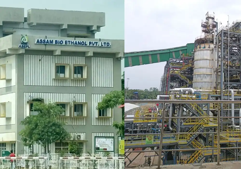What is Bio-Ethanol and How Bamboo Fuels It