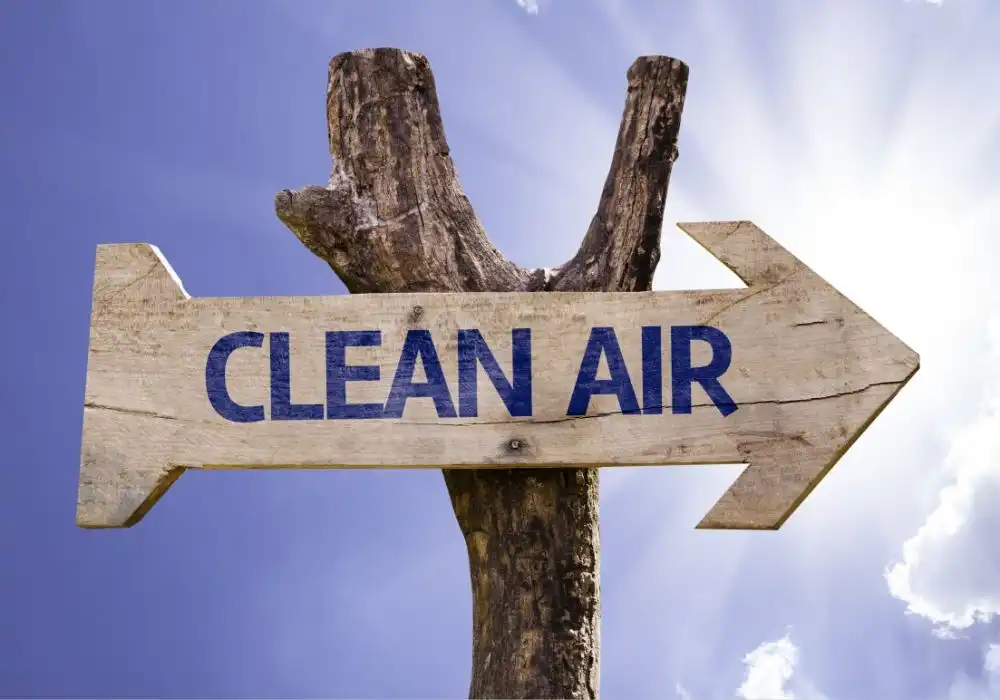 India's Next Leap in Clean Air: Decoding BS-VII Emission Norms