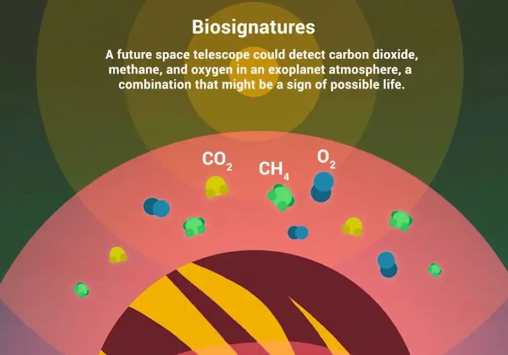 Biosignatures & AI's Protein Language Models