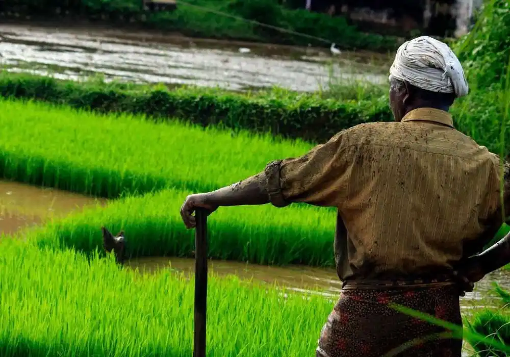 Rural Development and Latest Finance Commission Grants