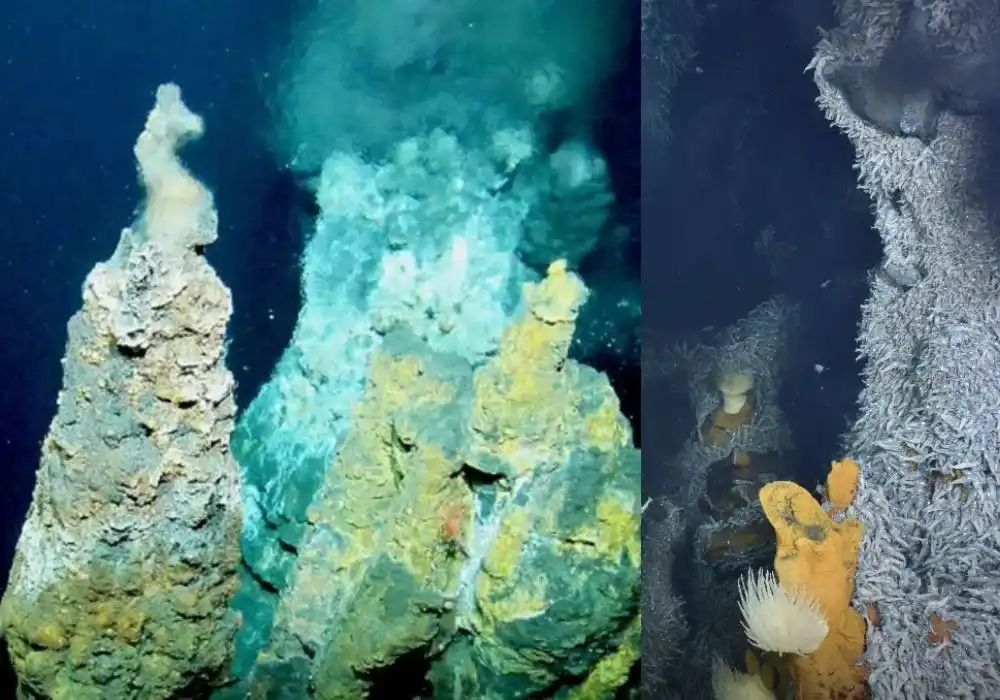 India's Deep Ocean Quest: Unlocking Hidden Riches in the Indian Ocean