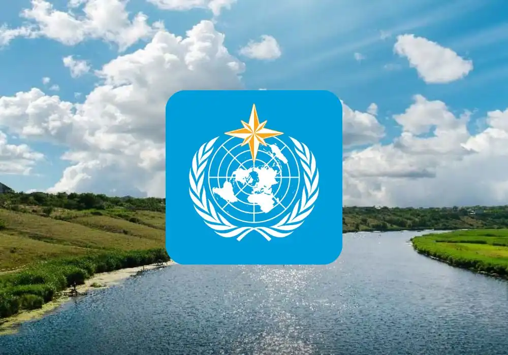 Global Water Crisis Unveiled: Decoding the WMO's Alarming 2024 Report