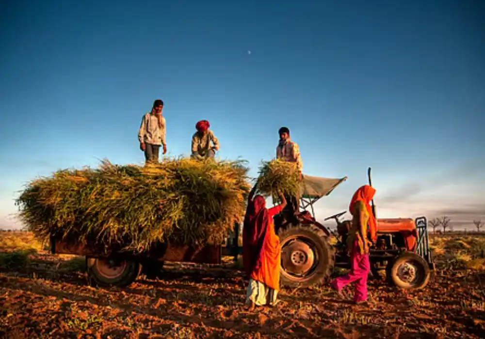 Pillars of GS3 Success: Master India's Agricultural Protection & Financial Inclusion