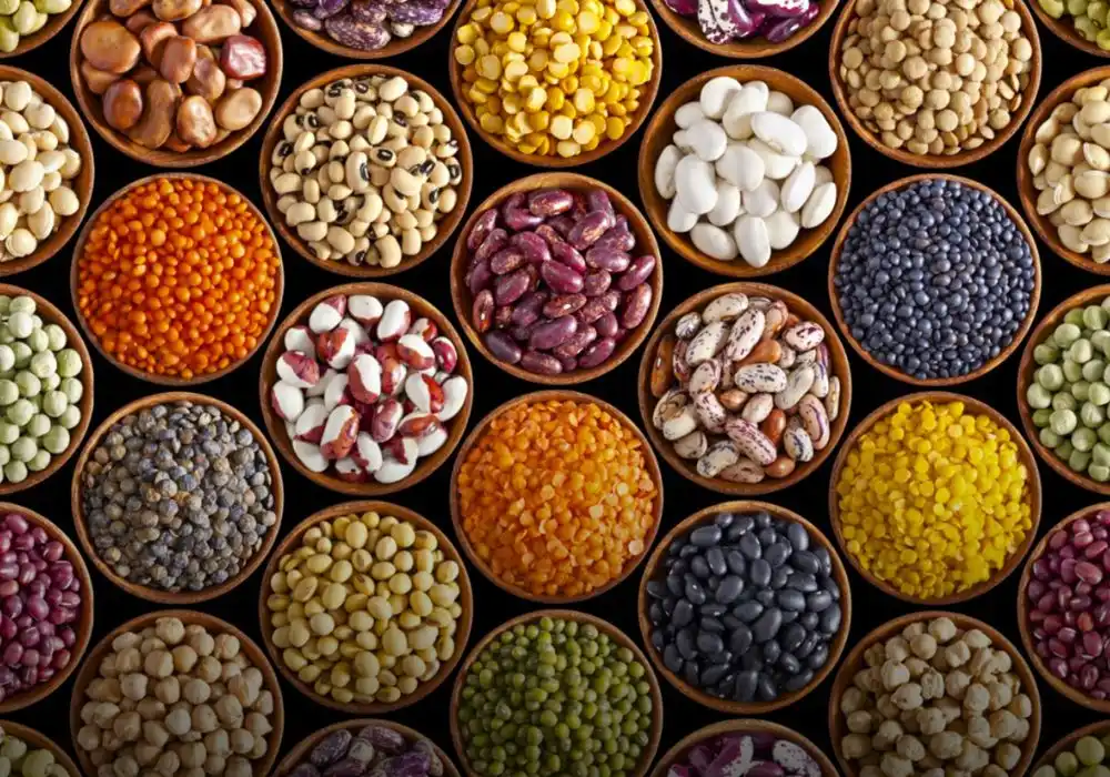 India's Agricultural Backbone: Understanding Agricultural Procurement