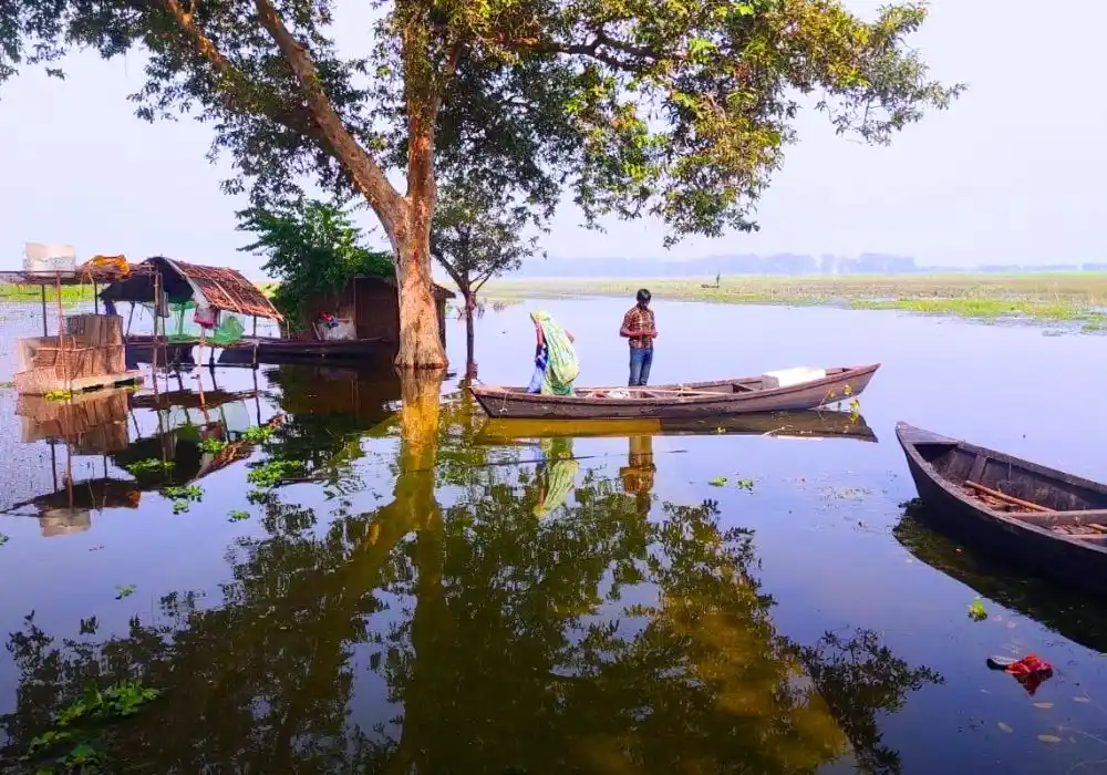 What are Ramsar Sites, and Why are They Important?