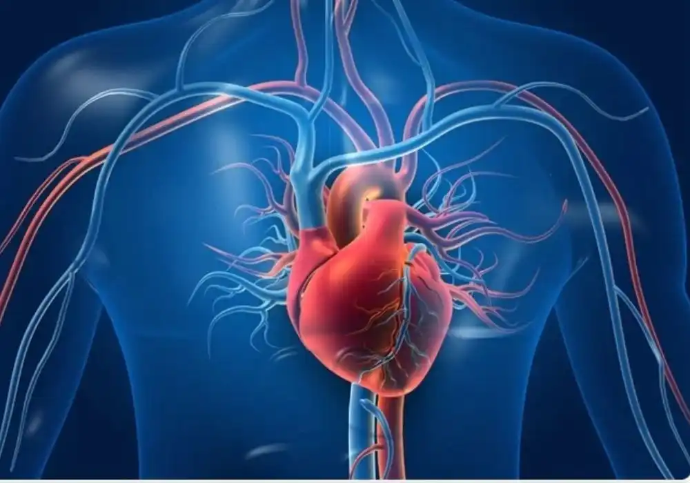 Understanding World Heart Day: A Global Imperative