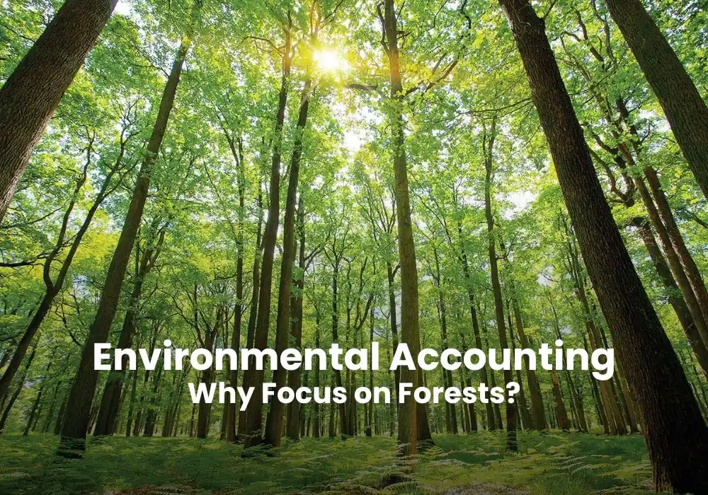 India's Green Gold: Environmental Accounting on Forests 2025