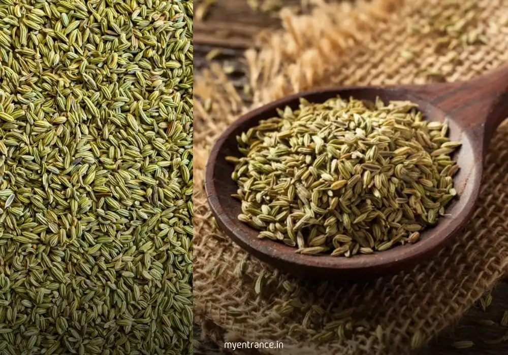 India's Spice Powerhouses: A Strategic Look at Fennel Seed Production