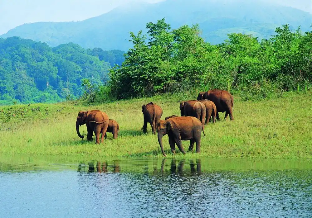 India's Green Gold: Your Guide to Biodiversity Heritage Sites