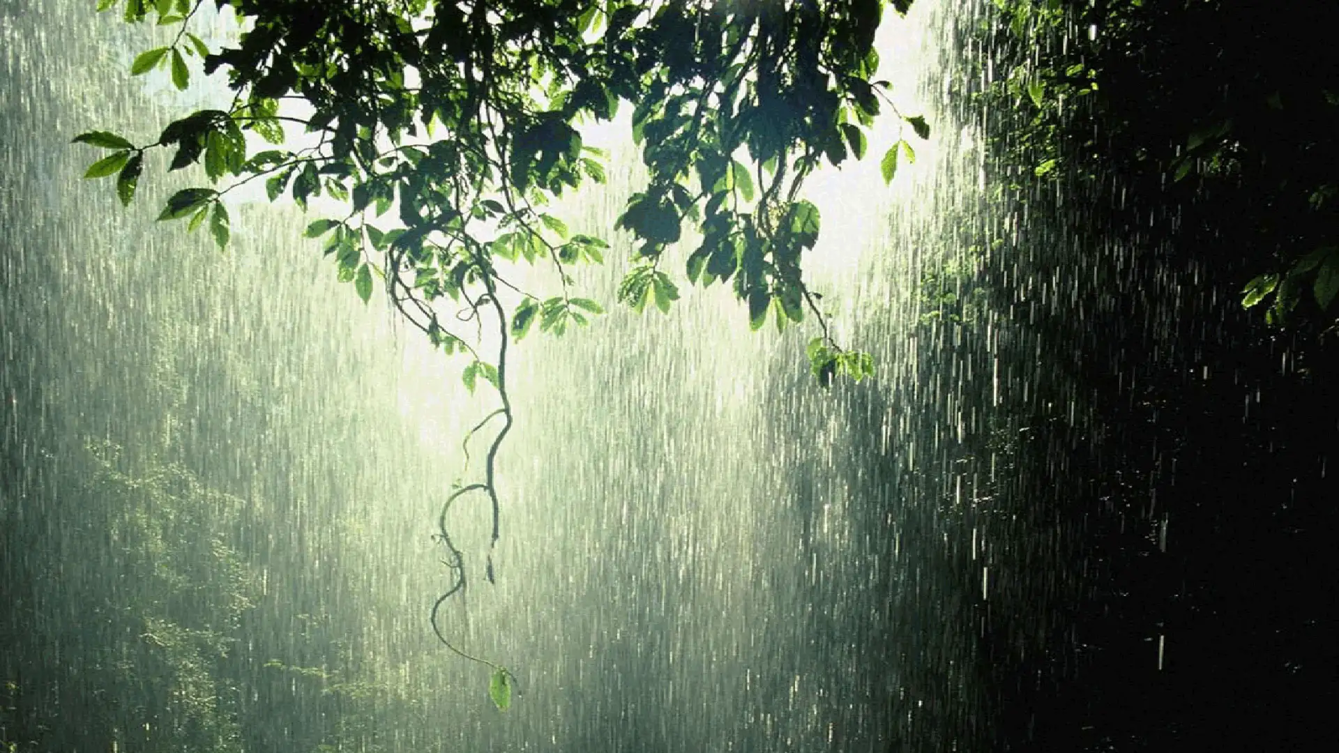 Monsoon Mystery