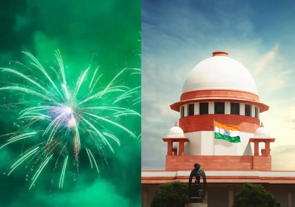 Green Firecracker Verdict: What Exactly Happened?