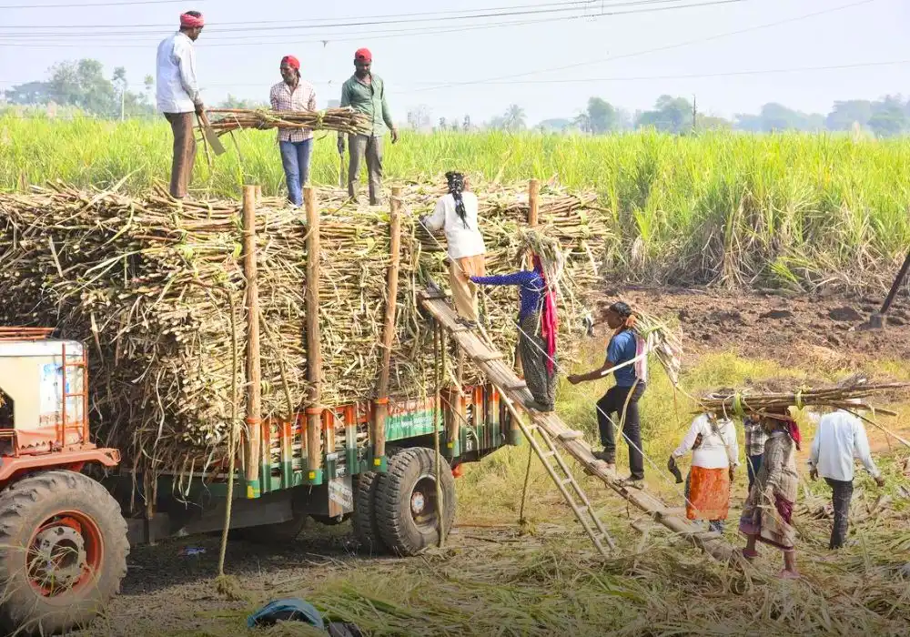 India's Green Fuel Mandate & Global Economic Laureates
