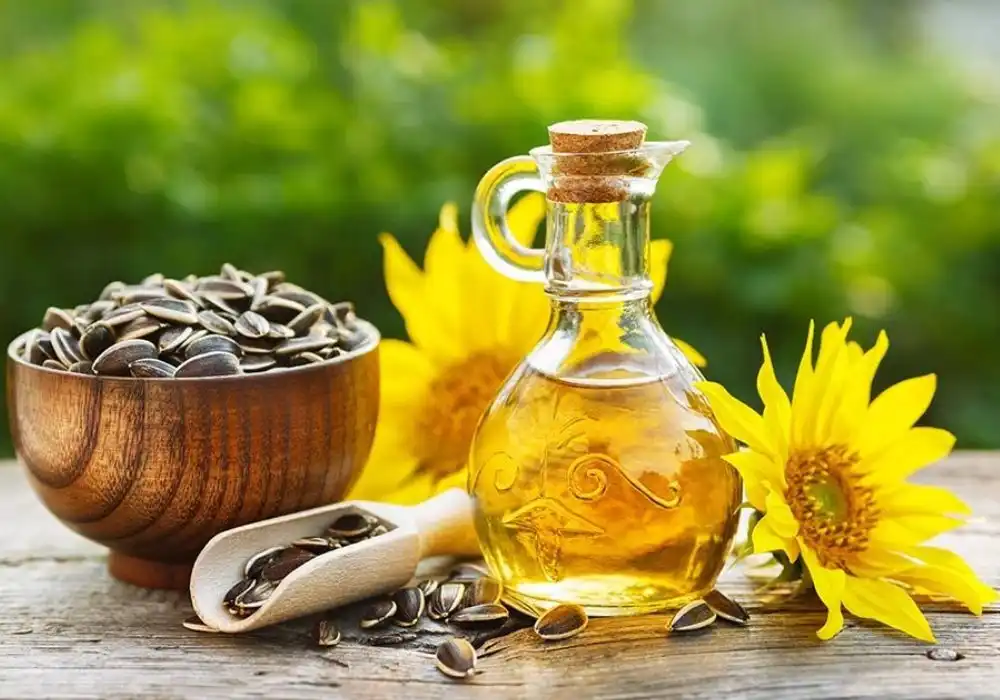 India's New Edible Oil Regulations: A Must-Know for Competitive Exams