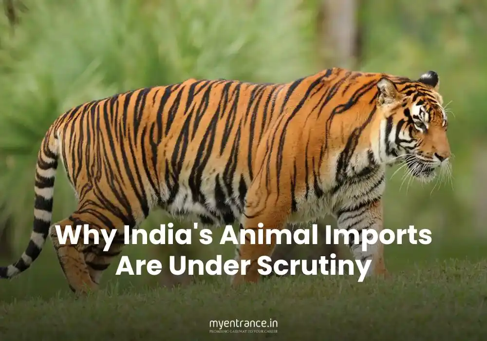 ndia's Animal Imports Are Under Scrutiny