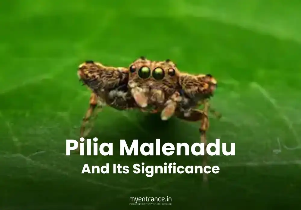 Pilia Malenadu and Its Significance