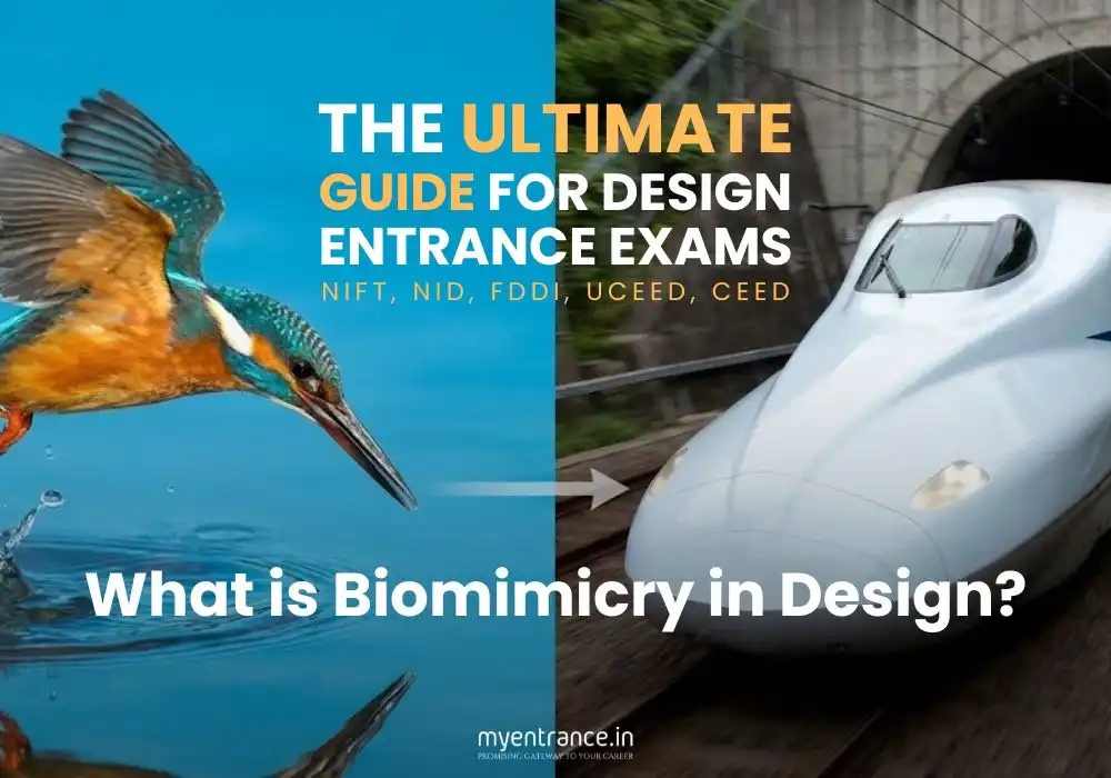 Top 4 Biomimicry Examples Every Design Aspirant Must Memorize for their NIFT, NID, CEED, UCEED entrance exam.