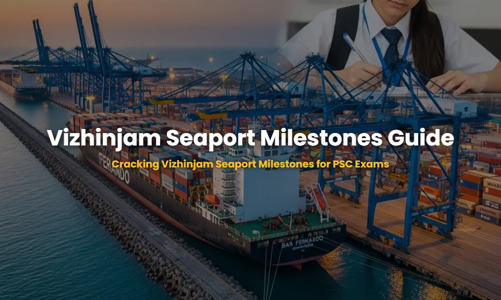 Vizhinjam International Seaport featuring automated cranes and a Maersk mothership at sunset.